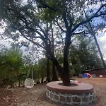 Citadel Resort