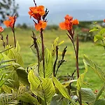 The Serenity Resort Panchgani