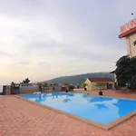Mount View Executive