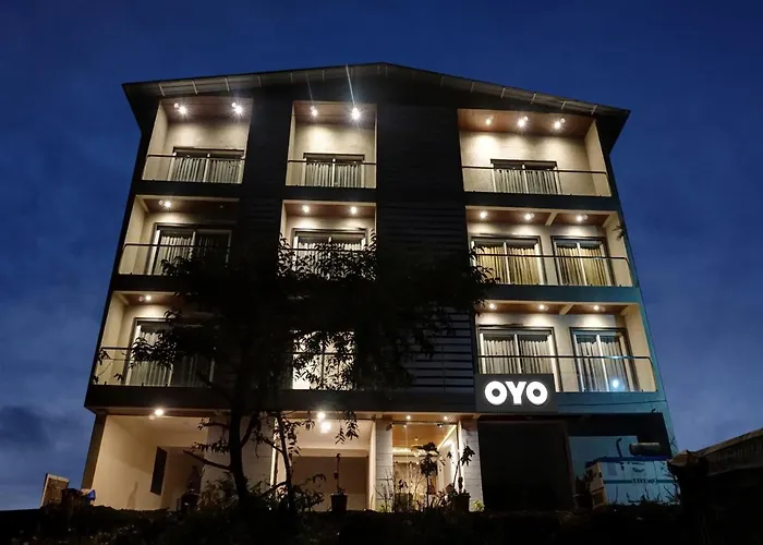 Super Oyo Townhouse 1219 Hotel Holiday Plus