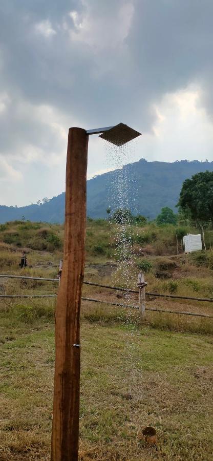 The Tribe, Mahabaleshwar *