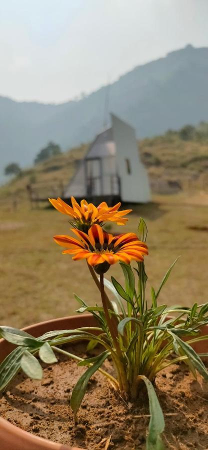 Luxury tent The Tribe, Mahabaleshwar *