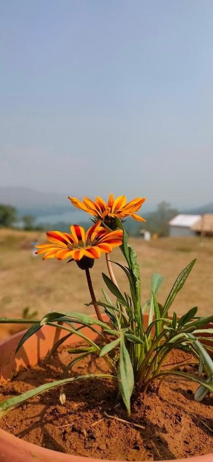 The Tribe, Mahabaleshwar Luxury tent *