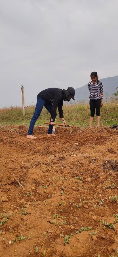 The Tribe, Mahabaleshwar Luxury tent Panchgani