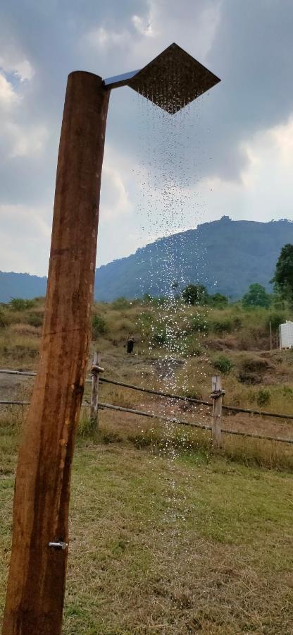 The Tribe, Mahabaleshwar