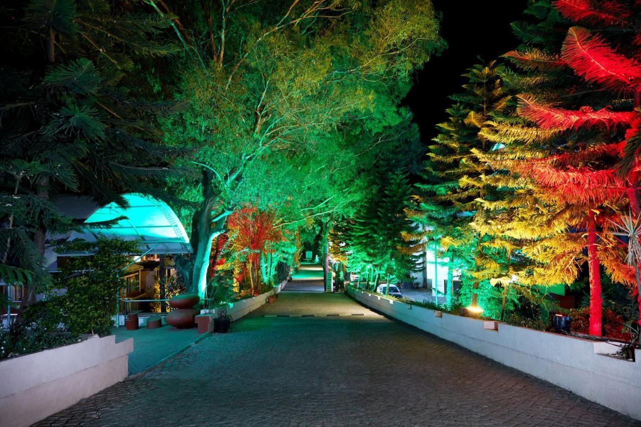 Summer Plaza Resort