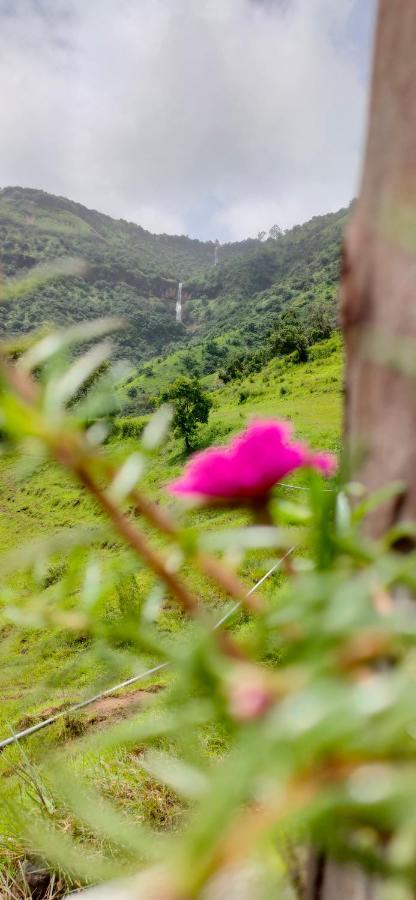 The Tribe, Mahabaleshwar