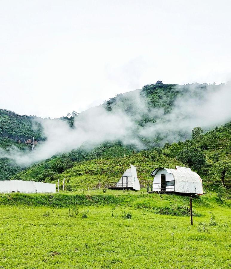 The Tribe, Mahabaleshwar *