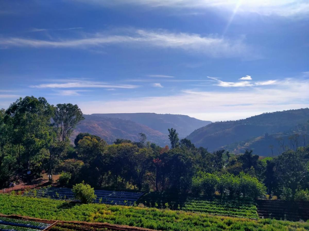 Divine - Mahabaleshwar