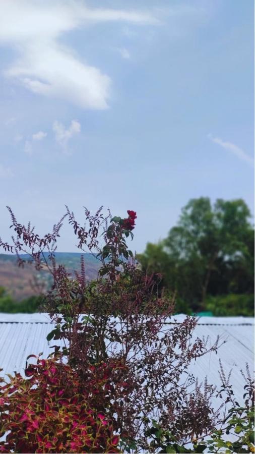 Strawberry County Hotel 3*