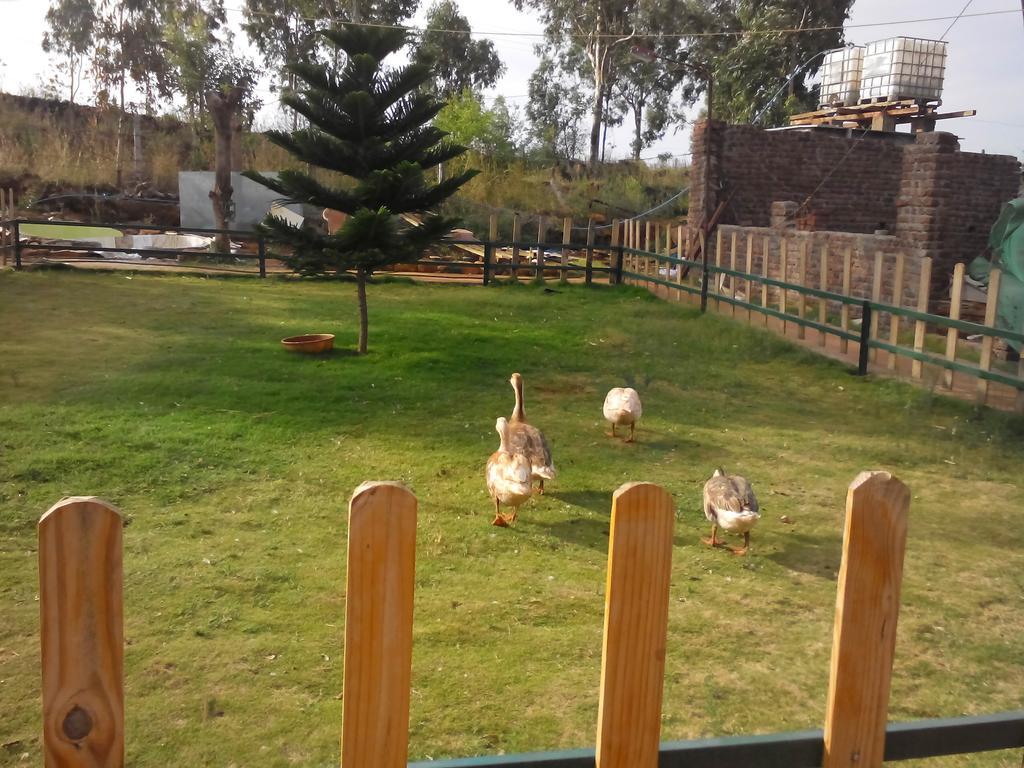 Strawberry Hills Bed & Breakfast