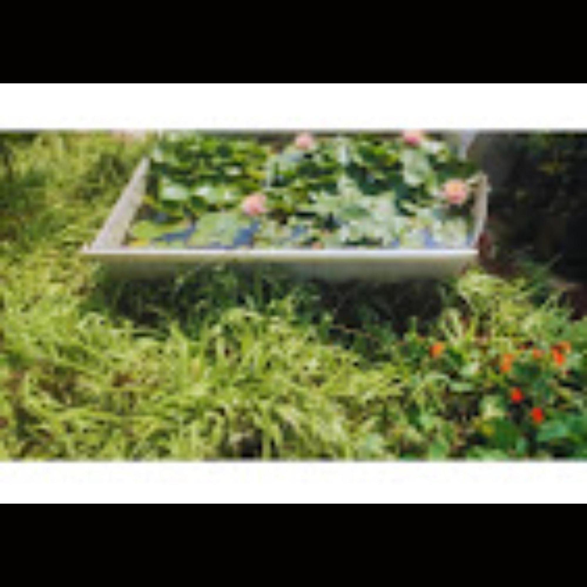 Hotel Strawberry County Panchgani