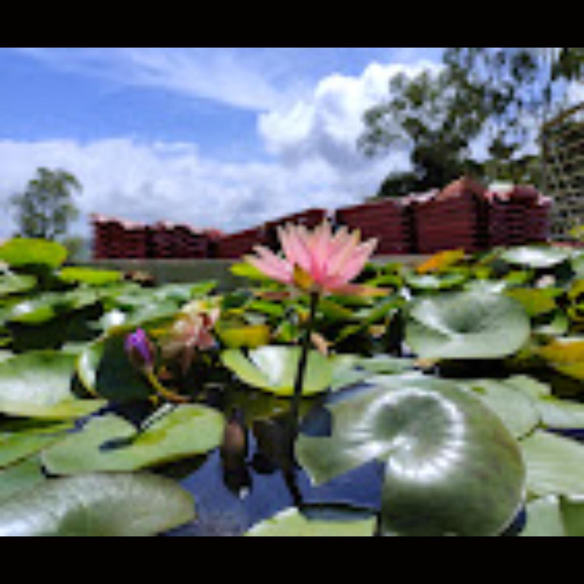Hotel Strawberry County Panchgani