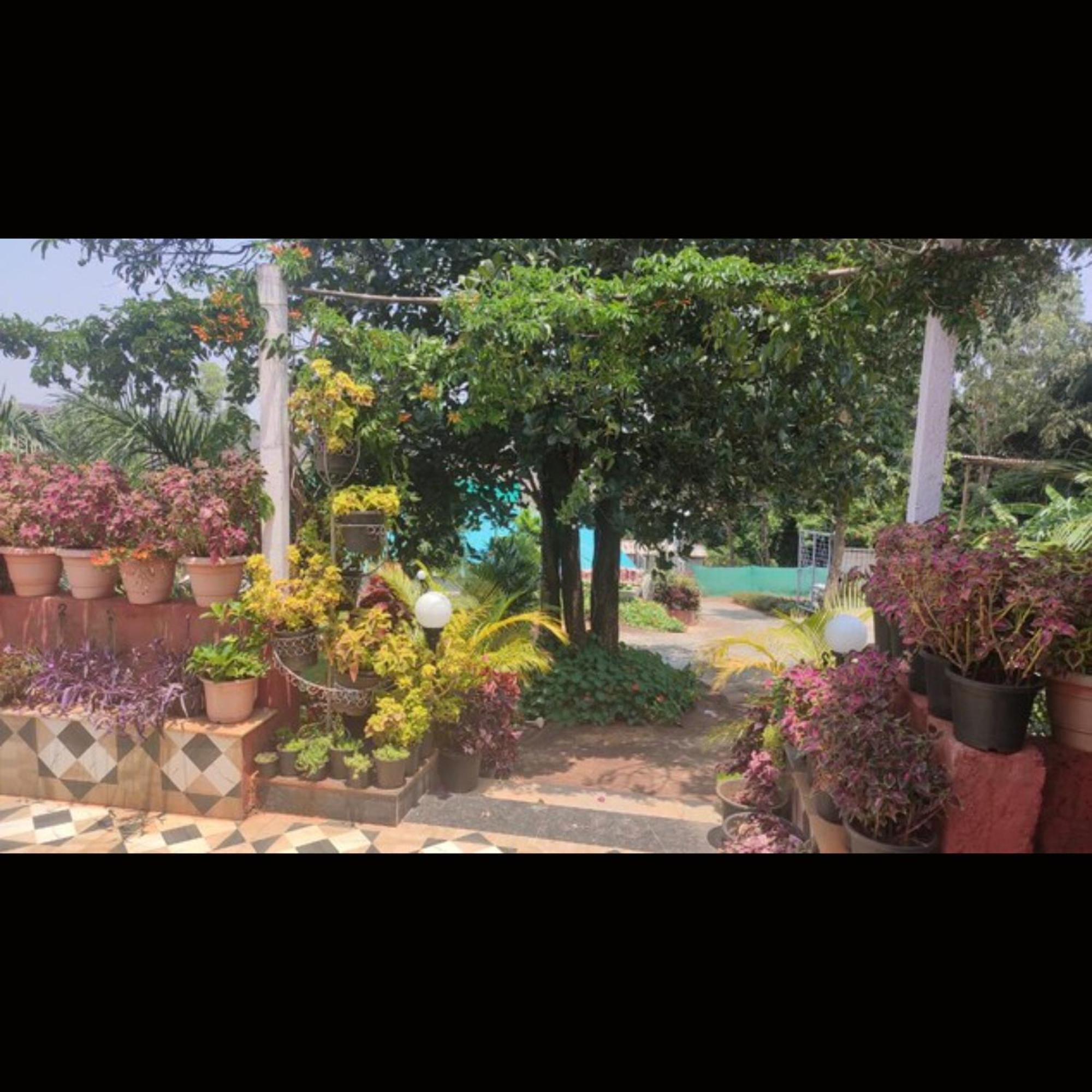 Strawberry County Hotel