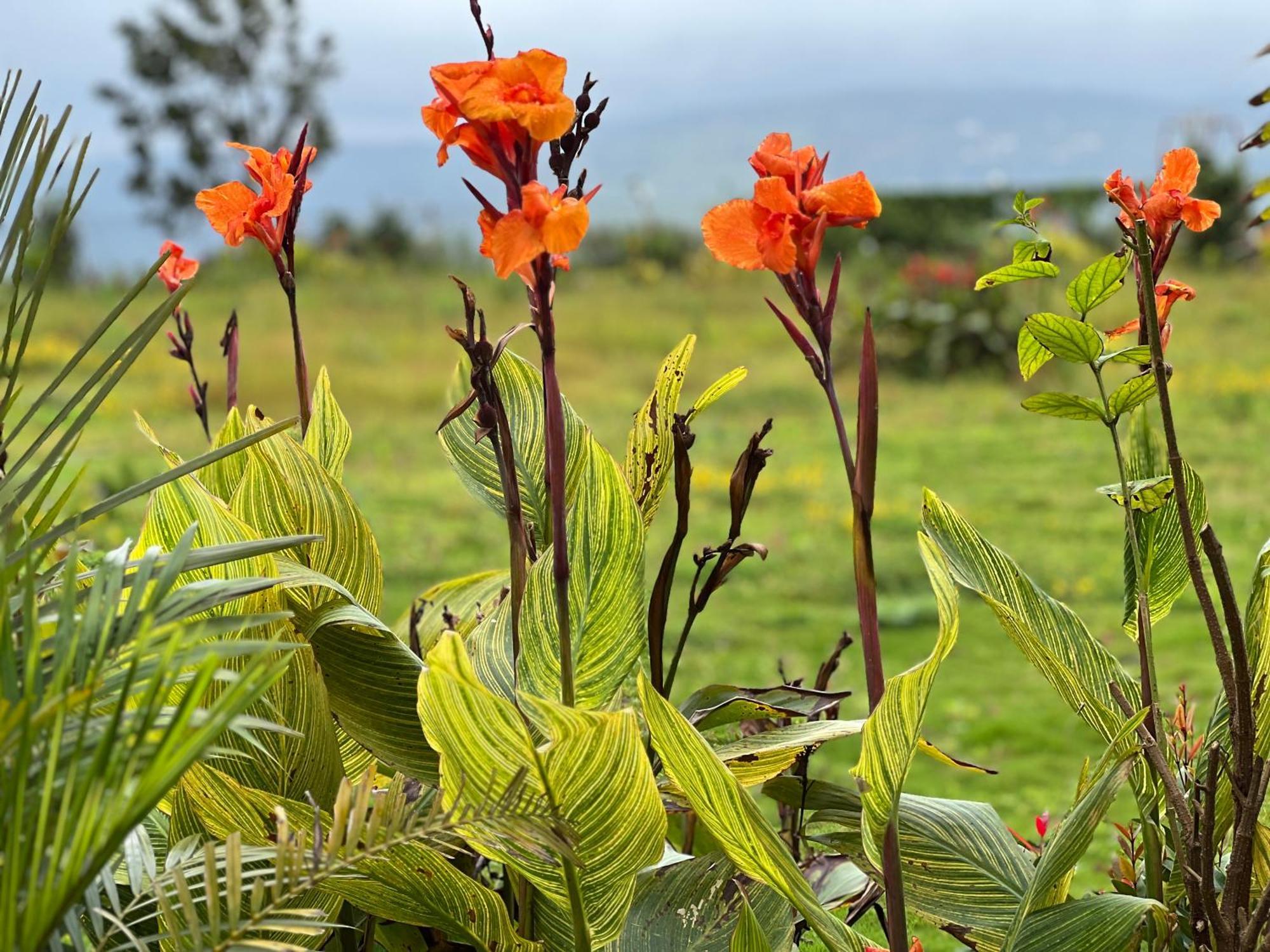 The Serenity 3* Panchgani