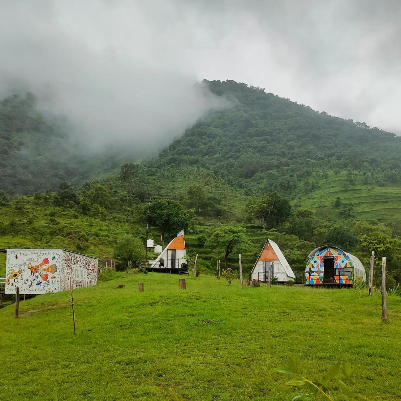The Tribe, Mahabaleshwar * Panchgani