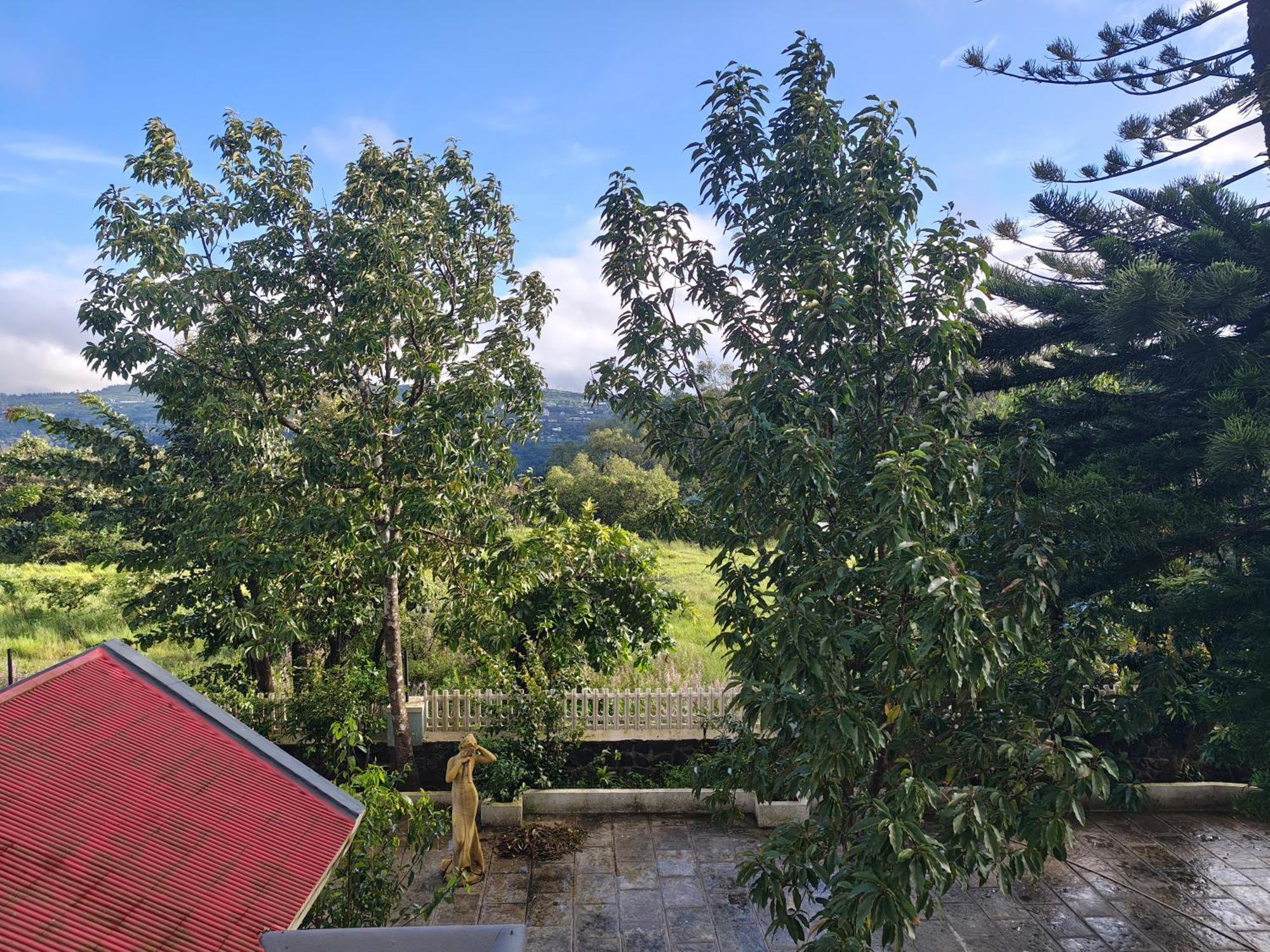 Baba's Estate