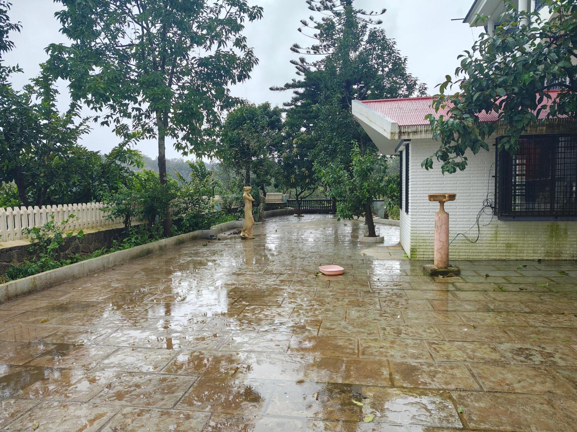 Baba's Estate