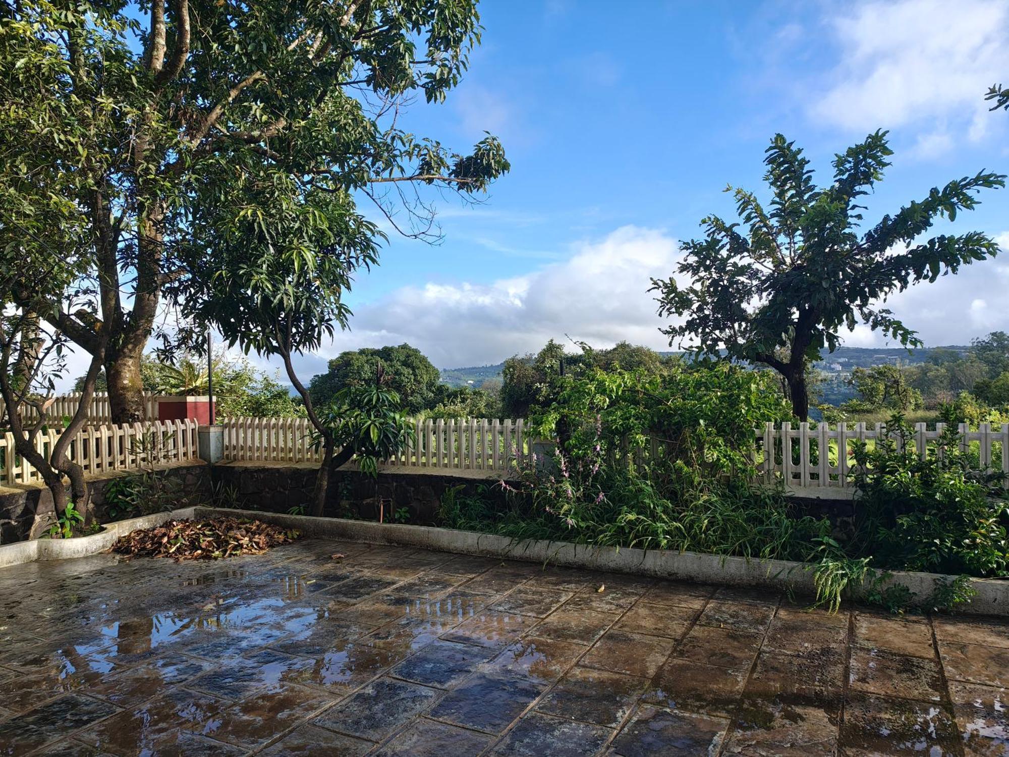 Baba's Estate *