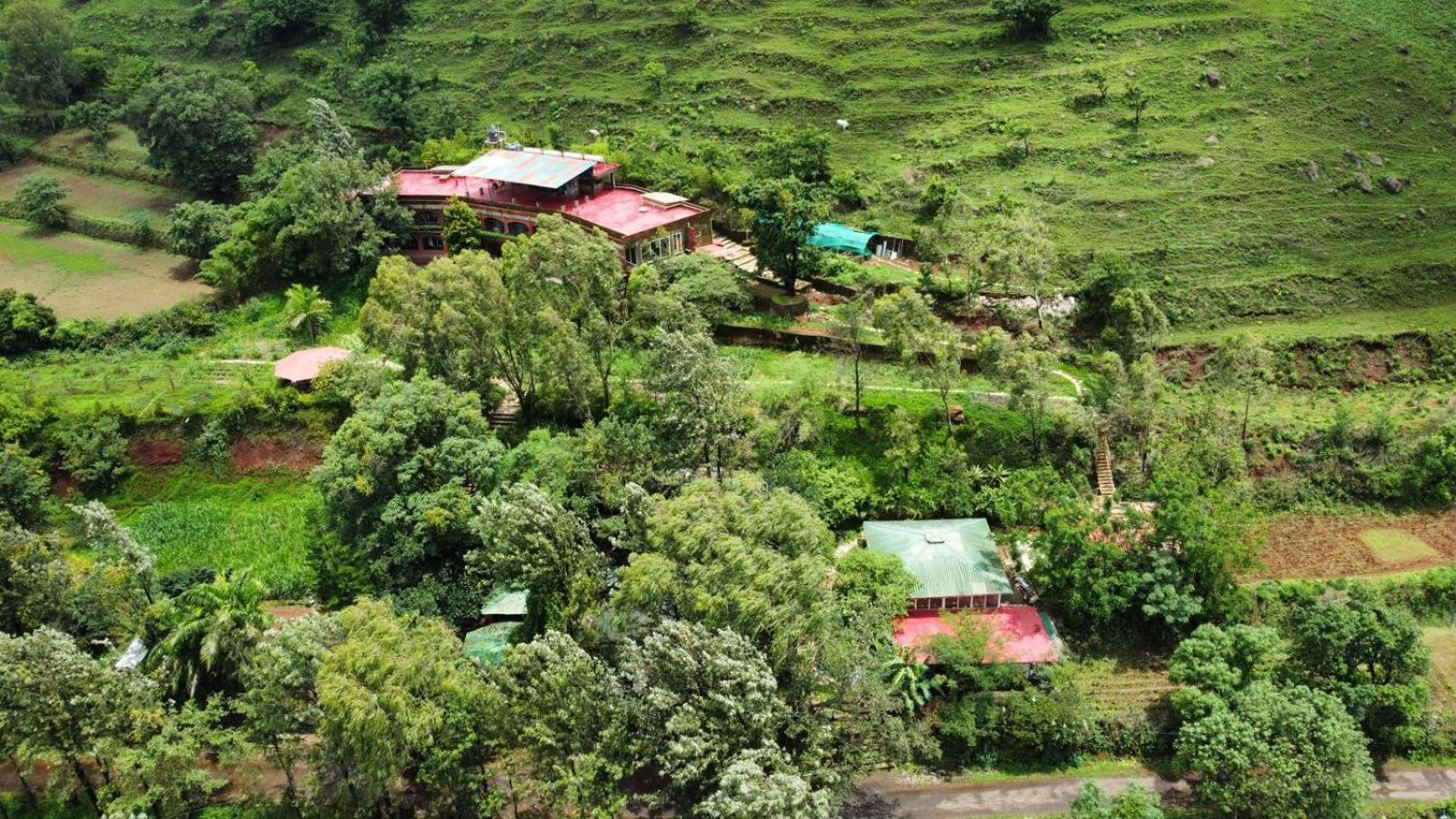 Terra On A Hill