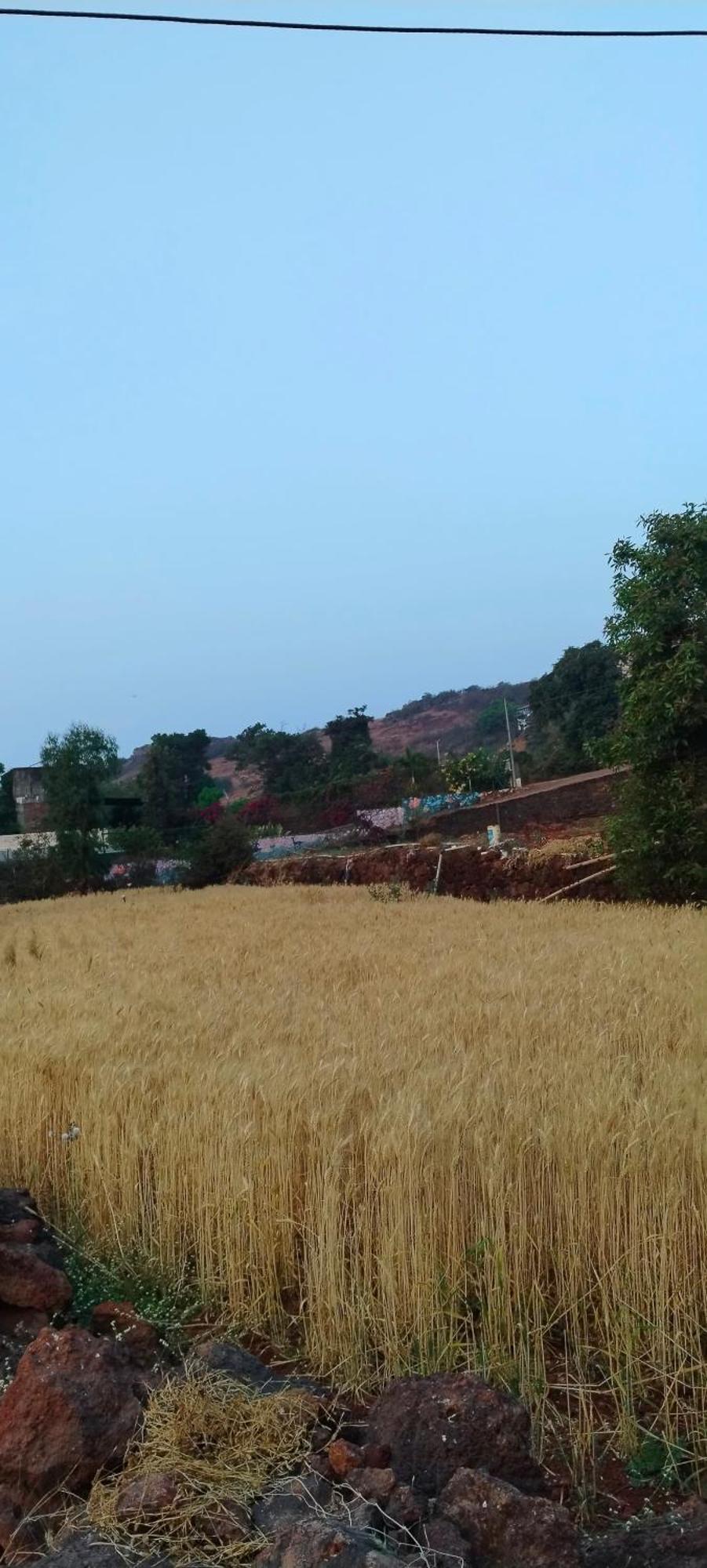 Shrihari Panchgani