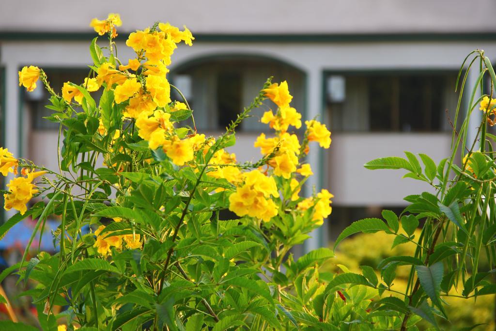 Aveda Blue Country Resort 3*