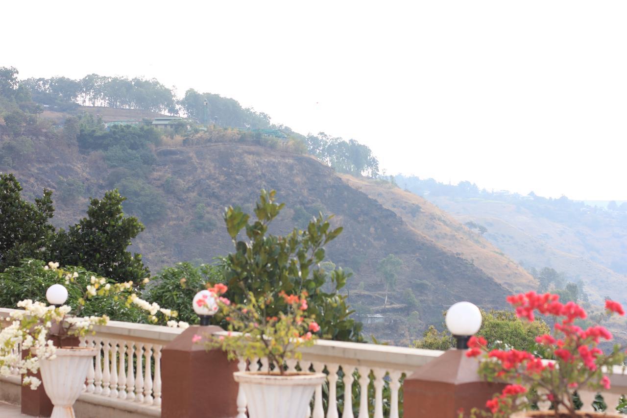 Mount View Executive
