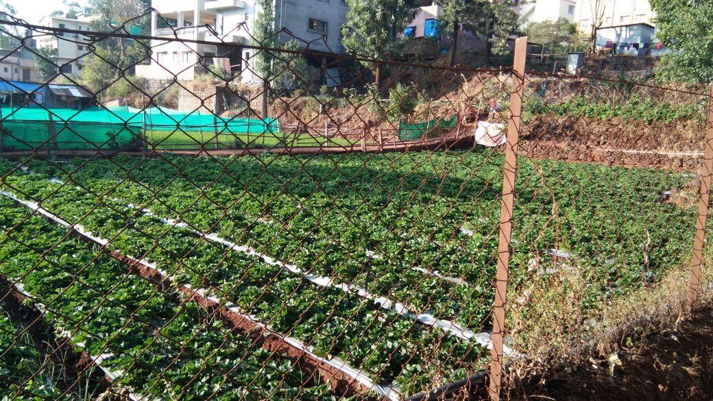 Villa Silver Oak Panchgani