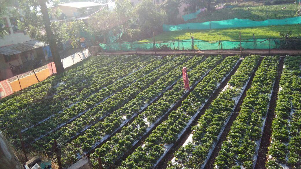 Silver Oak Villa Panchgani