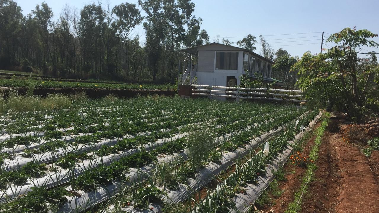 Ankur Farmhouse Hotel *