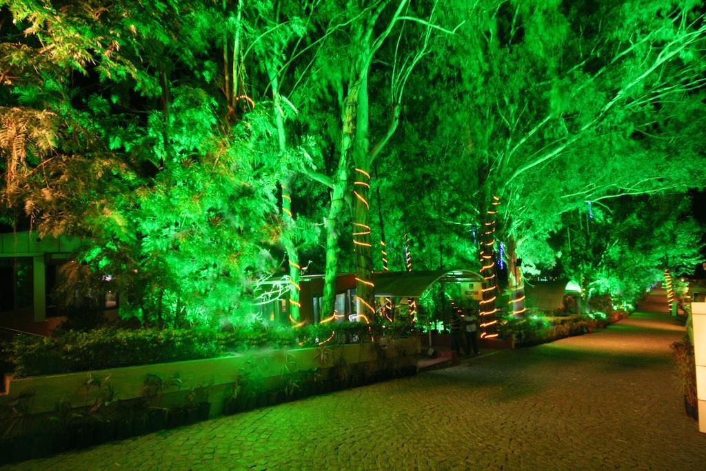 Summer Plaza 3*