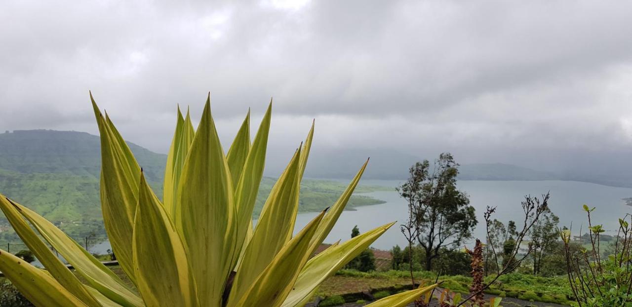 Tranquil Treasure Lodge