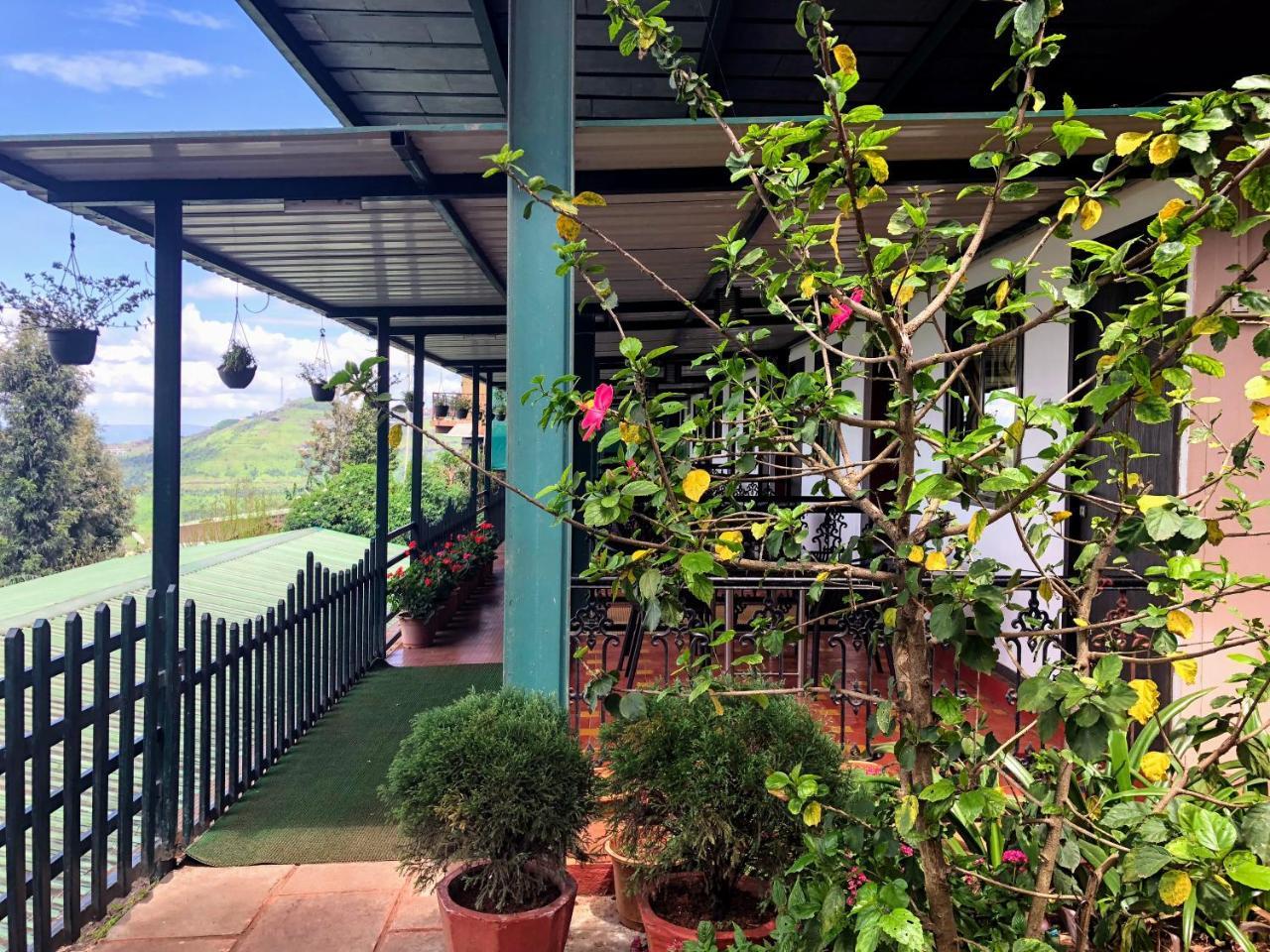 Rainforest Restaurant & Villas Hotel