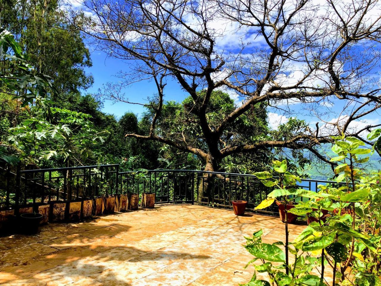 Hotel Rainforest Restaurant & Villas