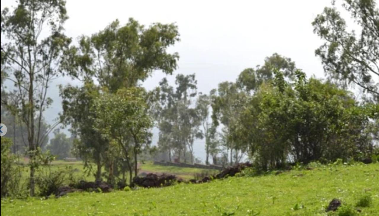 Resort Greenwood Cottages Panchgani