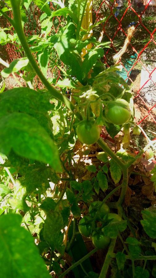 Holiday home Trimurti Panchgani